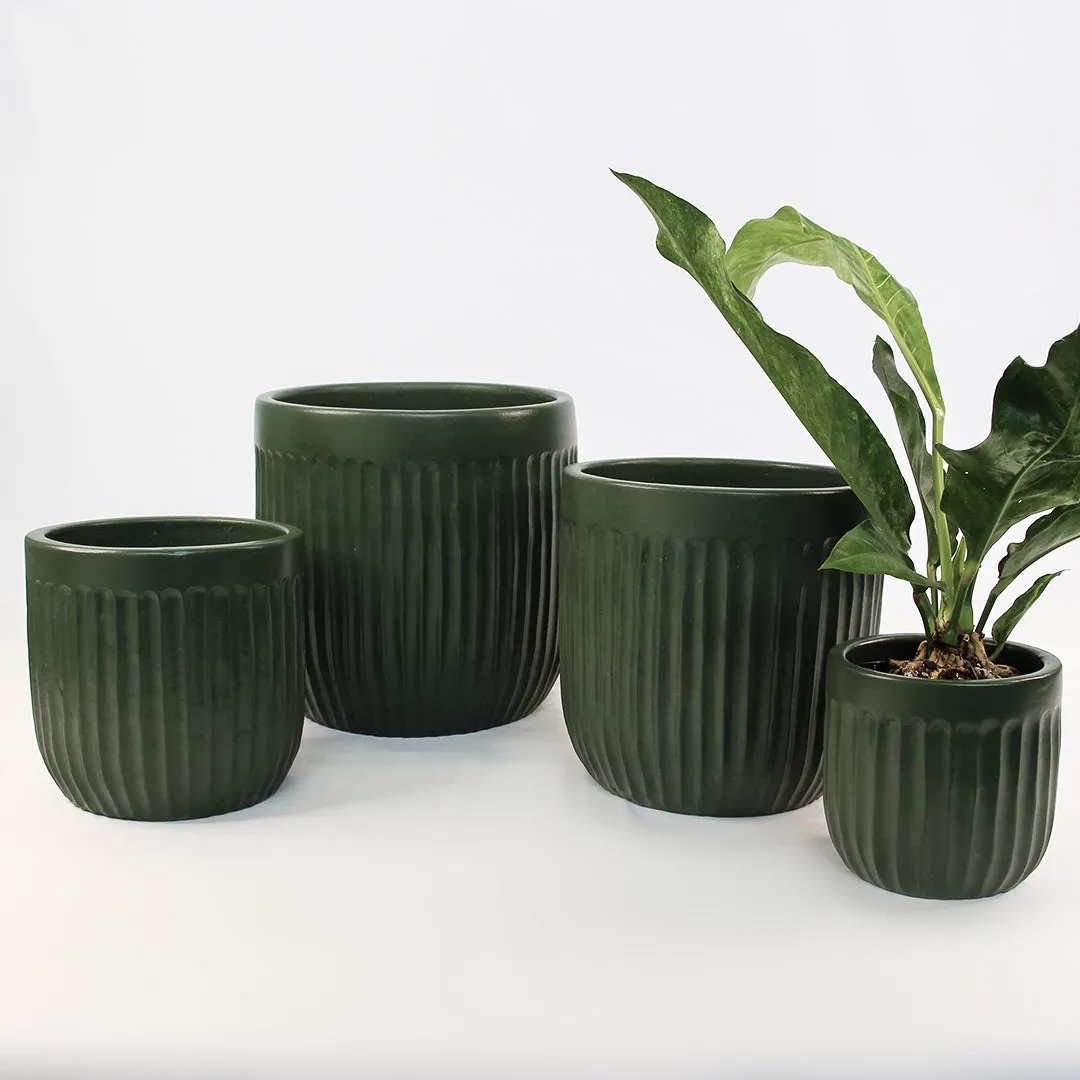 Urban Oasis Linea Pot Thyme 250mm