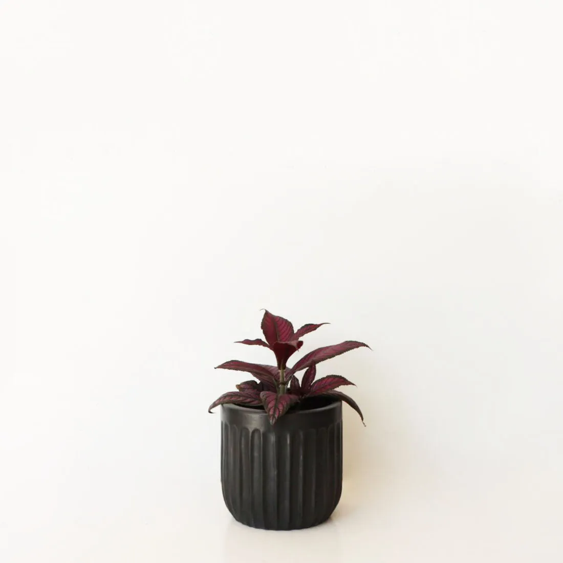 Urban Oasis Linea Pot Woodland Gray 150mm.