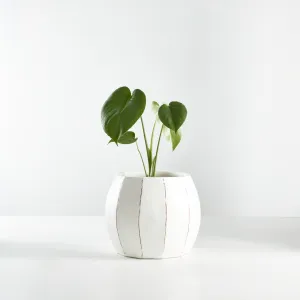 Urban Oasis Rena Pot White 150mm